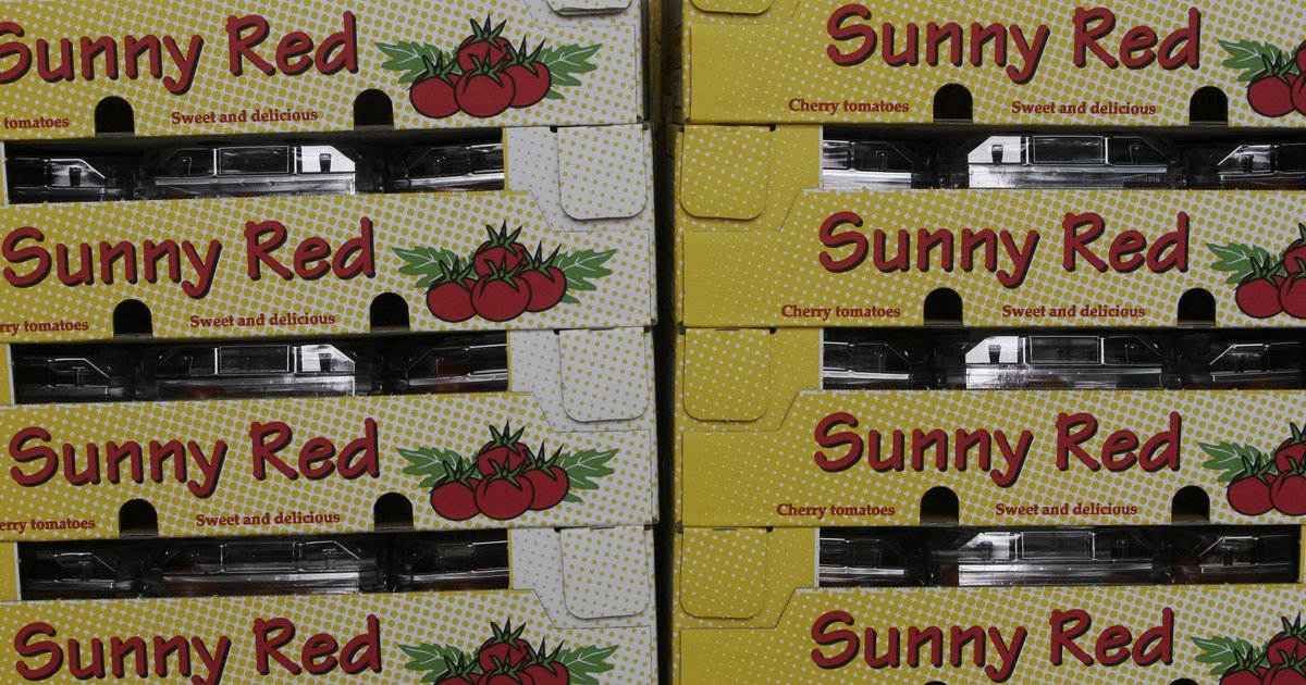 Tussenstand cao onderhandelingen Groothandel Groenten en Fruit | CNV