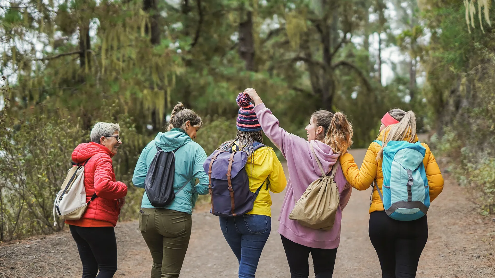 Groep vrouwen wandelt in het bos