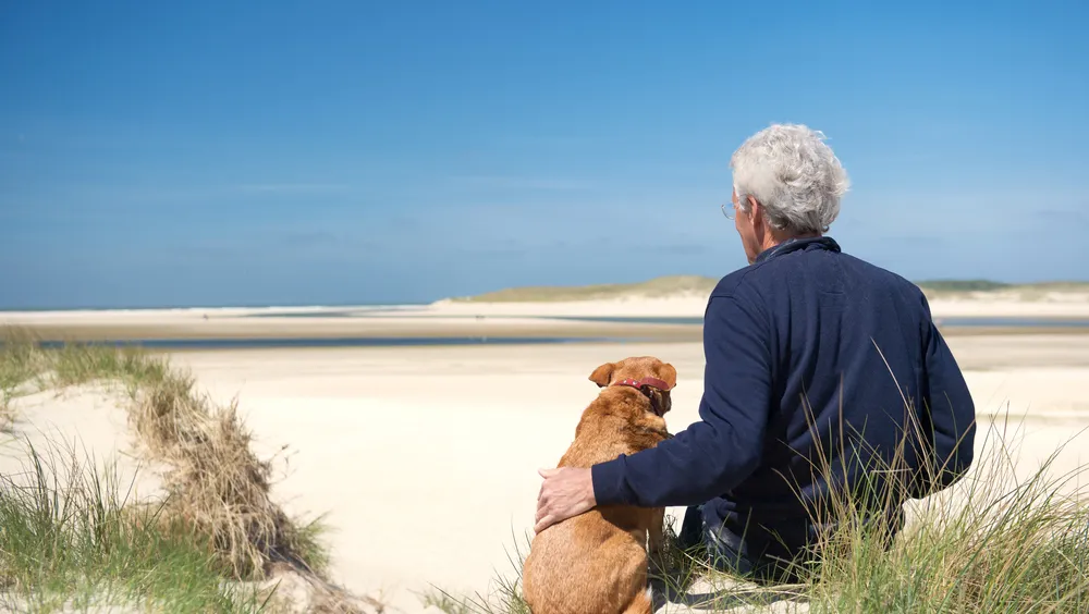 Man met hond op het strand