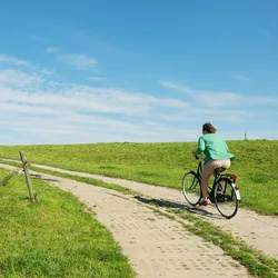 Eenzame vrouw op de fiets op een paadje langs een weiland met een koe